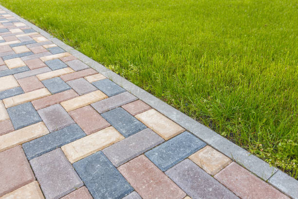 Best Driveway Paving Contractor  in Pampa, TX